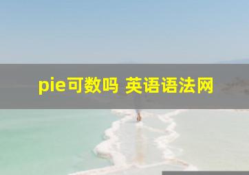 pie可数吗 英语语法网